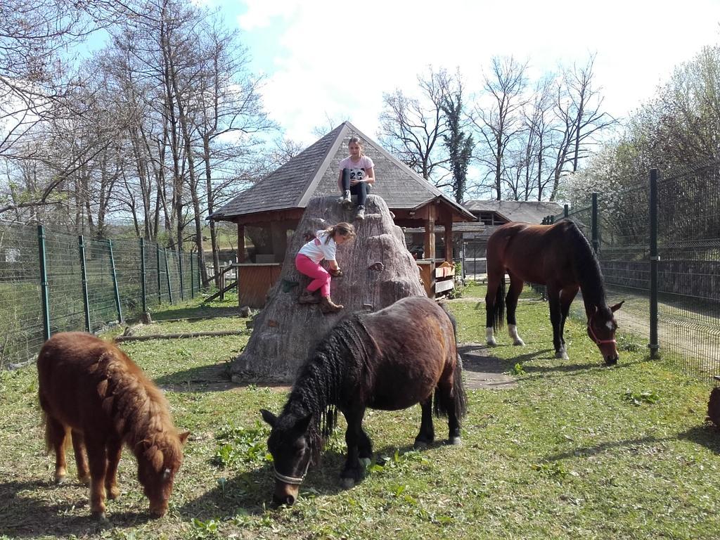 Guesthouse Zorko Gostilna Domen Шмарьешке-Топлице Экстерьер фото